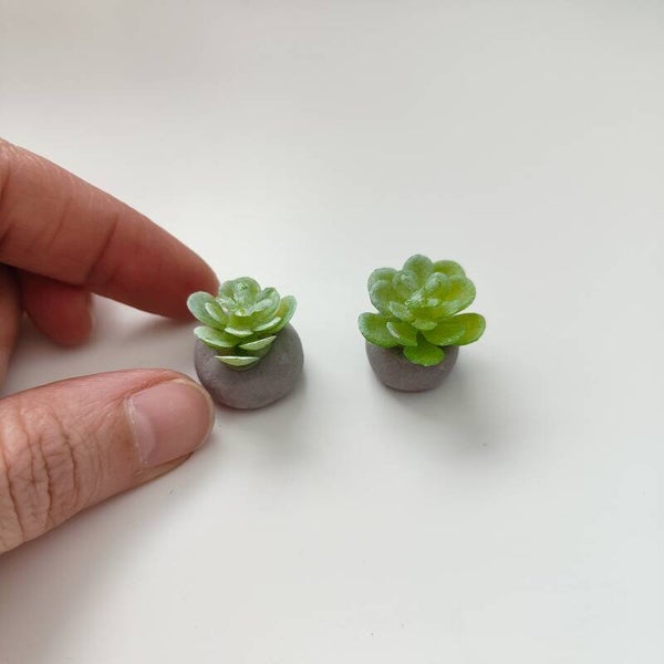 Setje van 2 plantjes