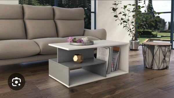 Table basse  gris et blanc