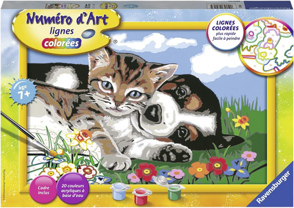 🎨 Ravensburger Numéro d’Art – Chaton & Chien – Peinture par Numéros – Dès 7 ans