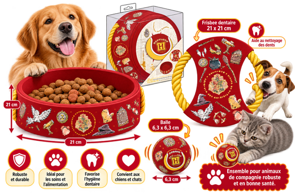🐾 Ensemble pour animaux de compagnie – Bol, frisbee dentaire et balle décorés HARRY POTTER