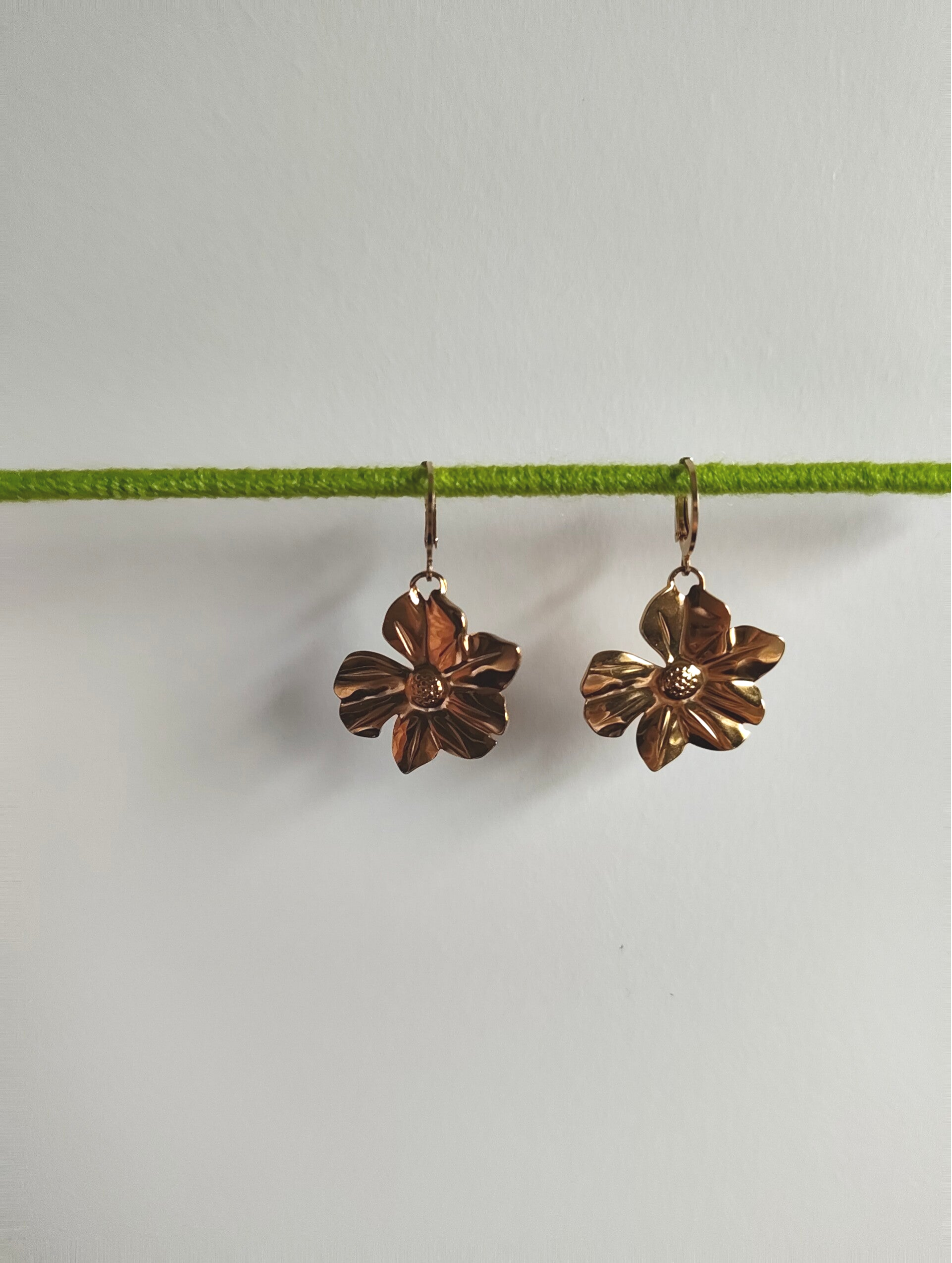 Earrings 001