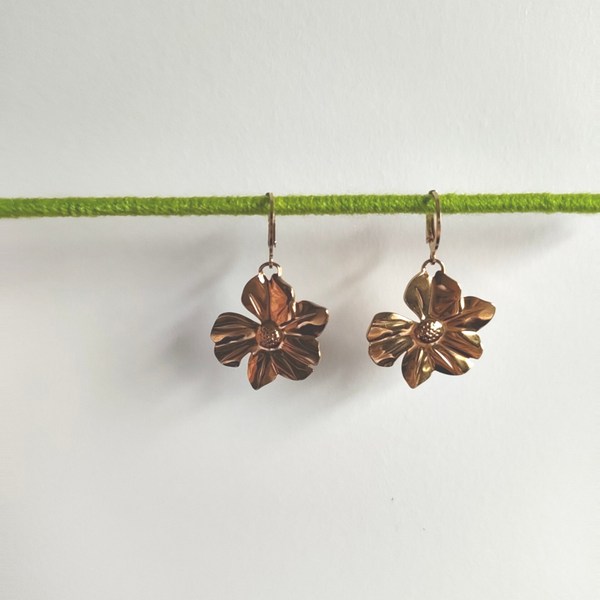 Earrings 001