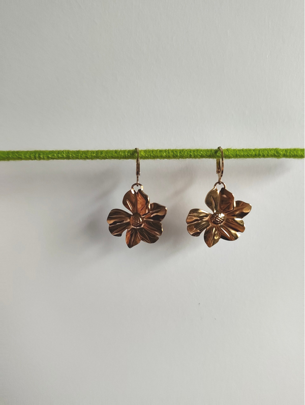Earrings 001