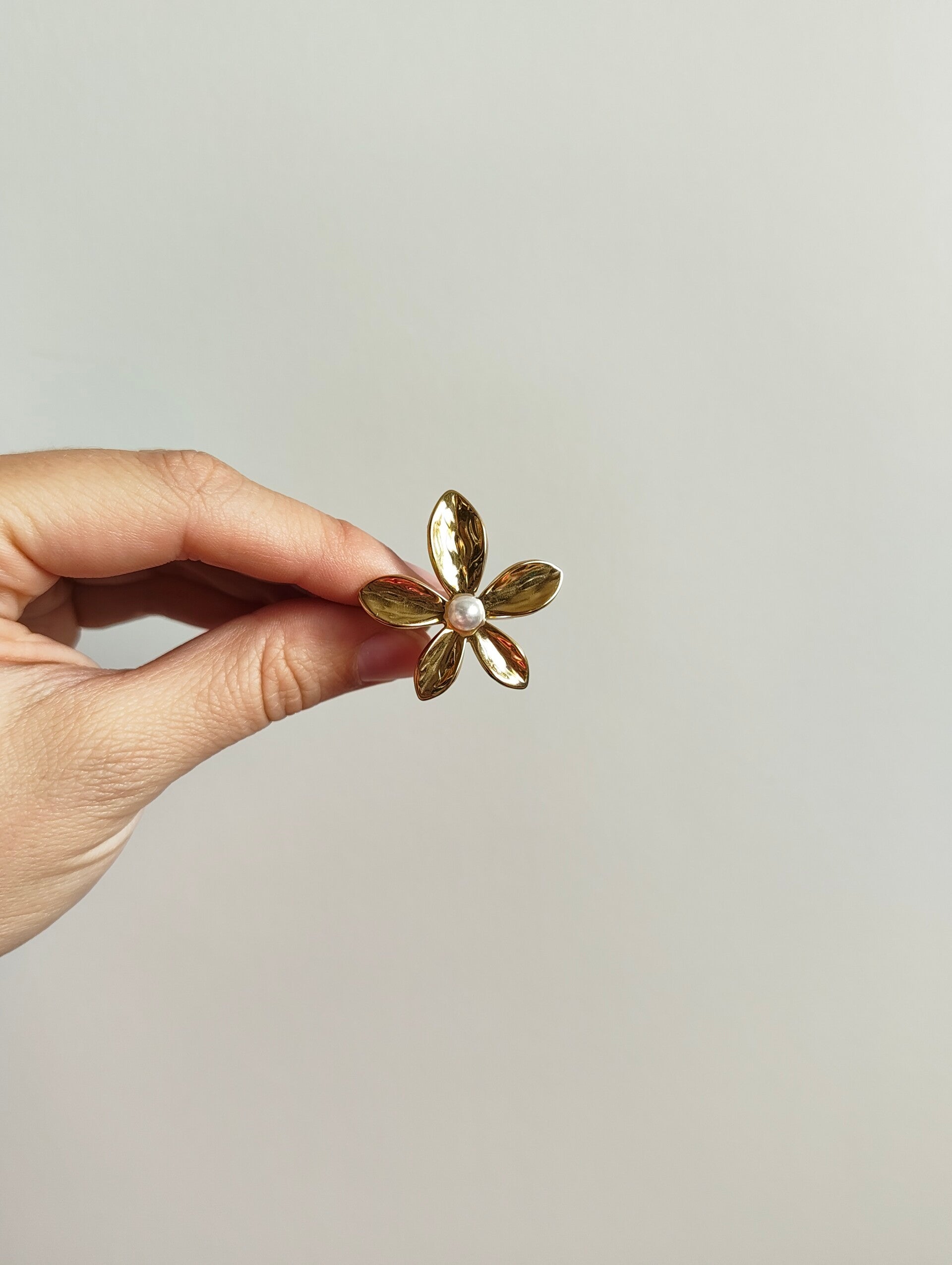Ring 009