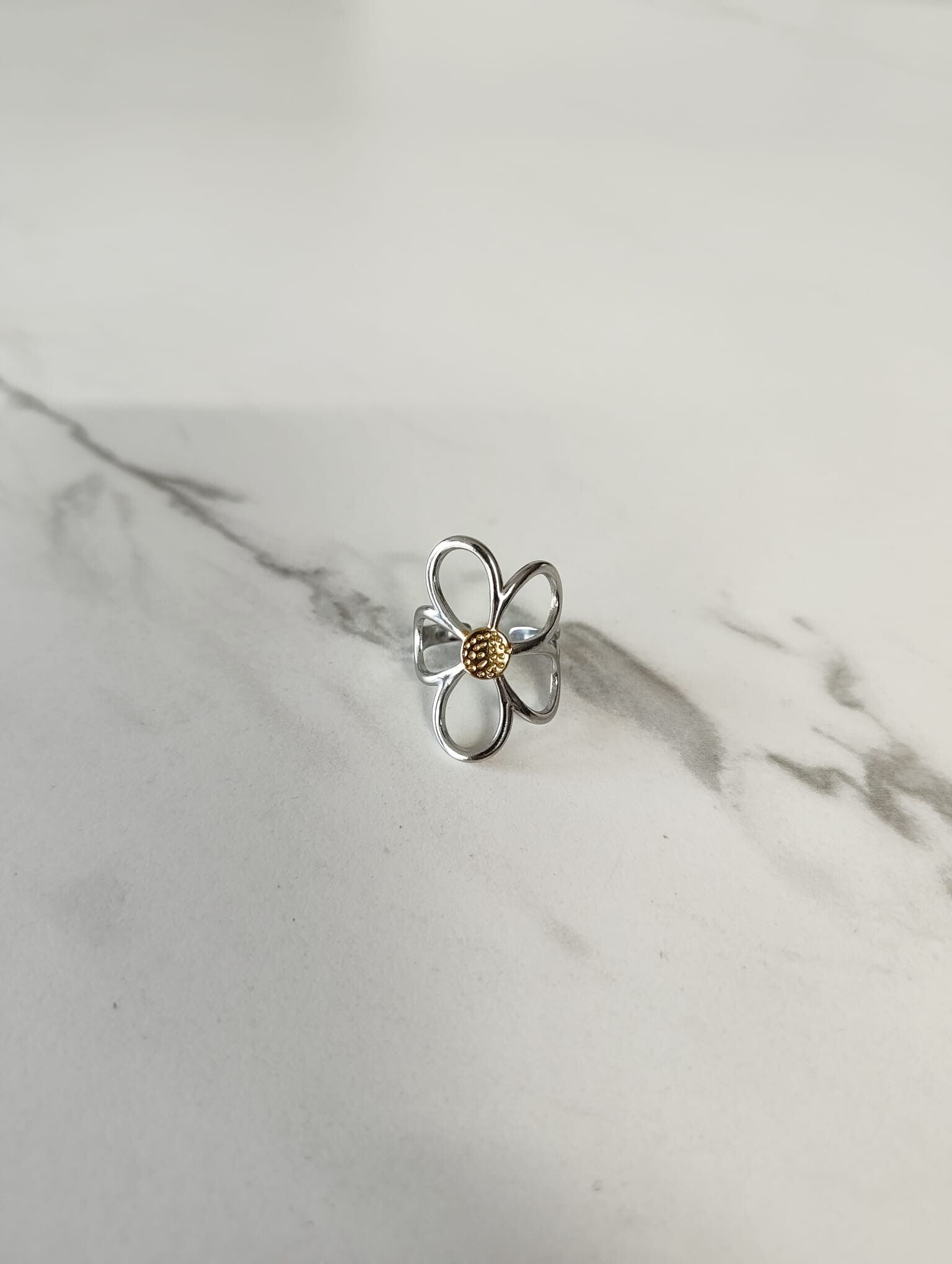 Ring 008