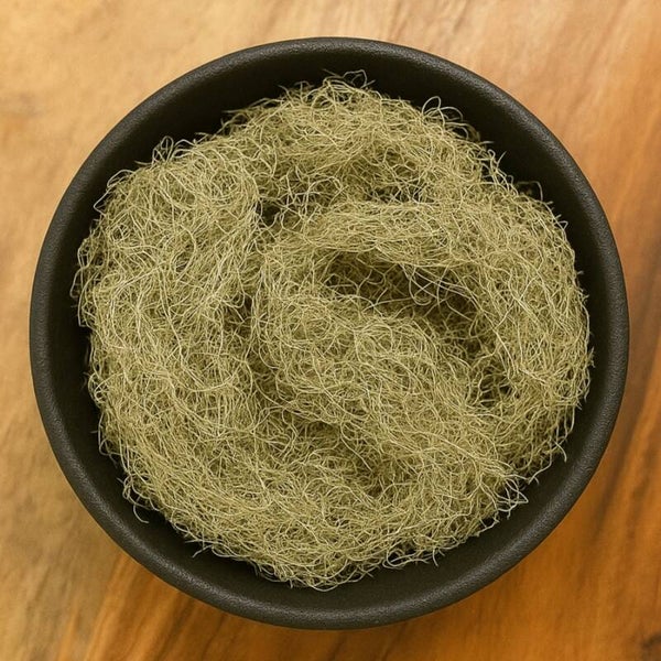 USNEA LICHEN