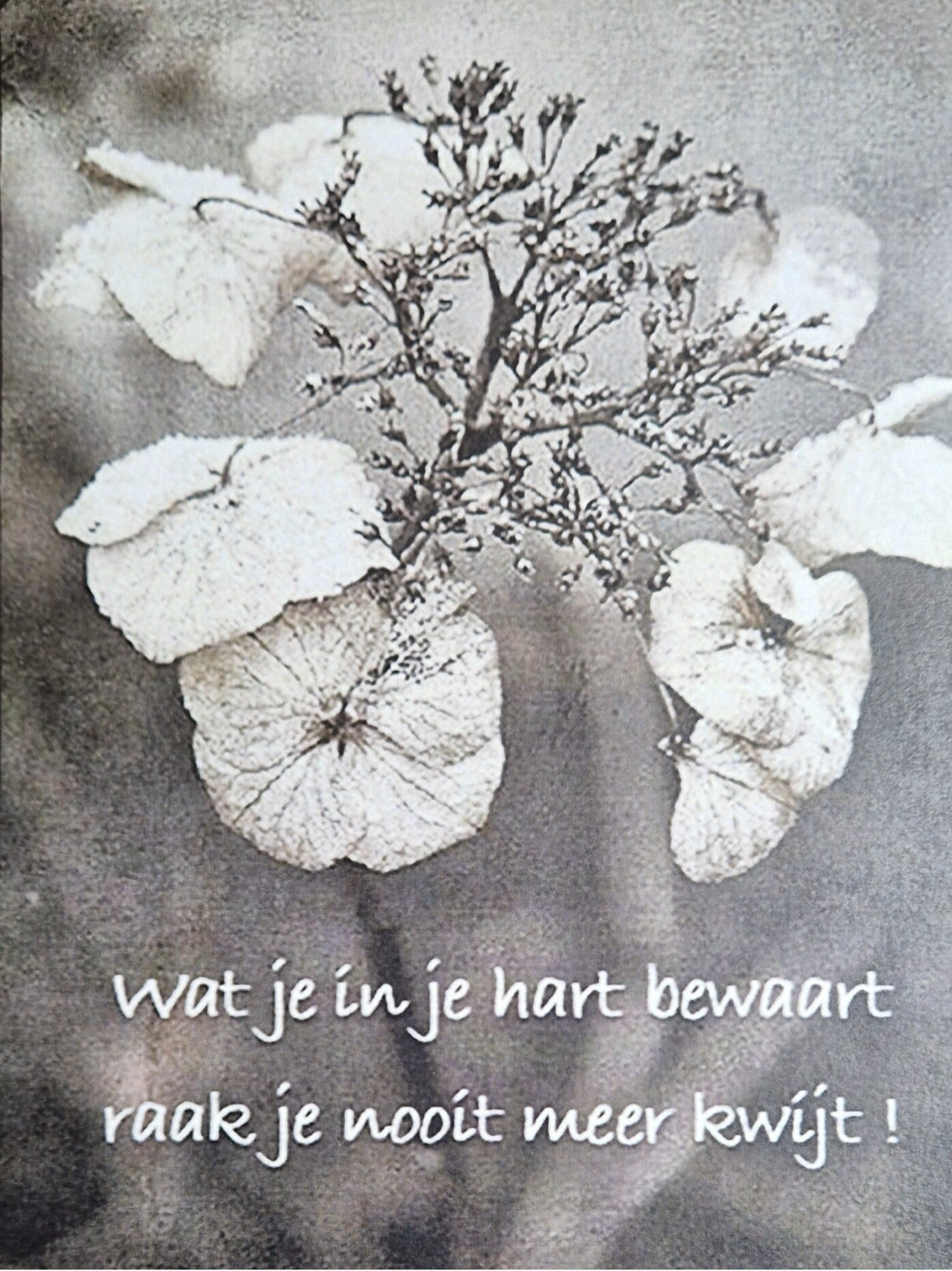 Wat je in je hart bewaart Raakt je nooit meer Kwijt