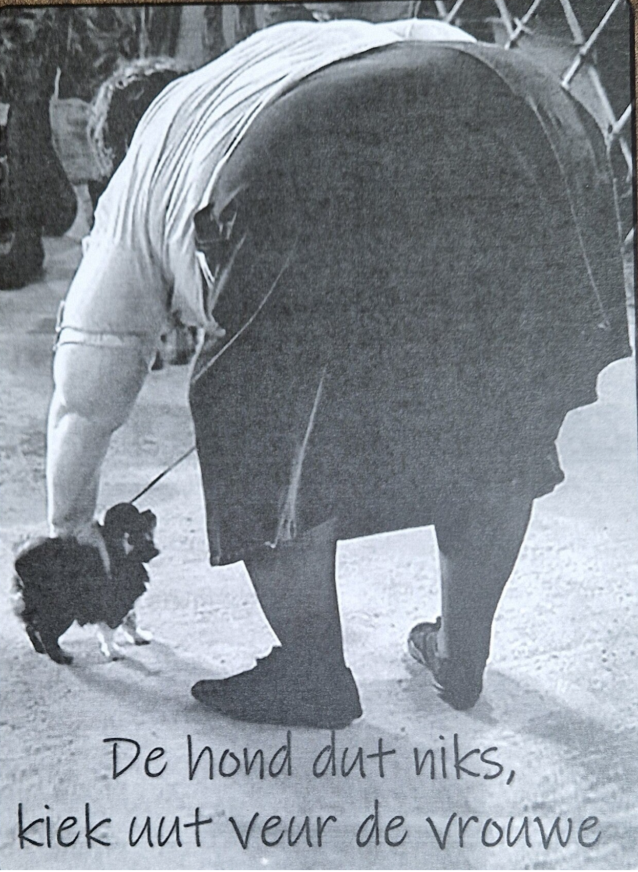 De Hond Dut Niks, Kiek uut veur de vrouwe