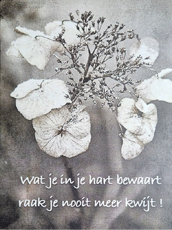 Wat je in je hart bewaart Raakt je nooit meer Kwijt