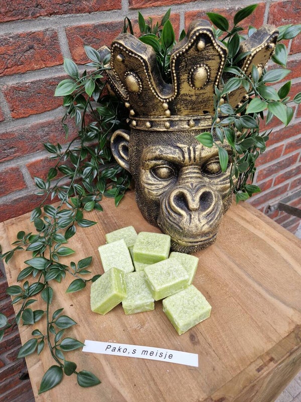 Amberblokje            Pako's Lady