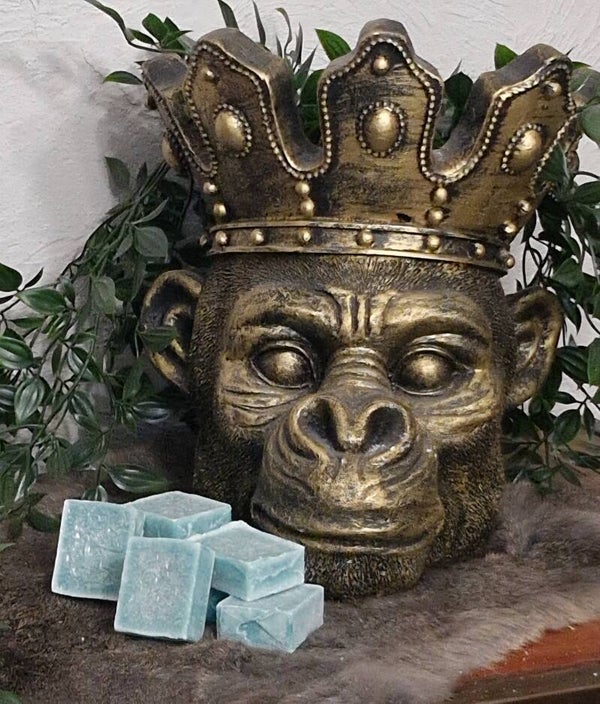 Amberblokje    Pine Tree