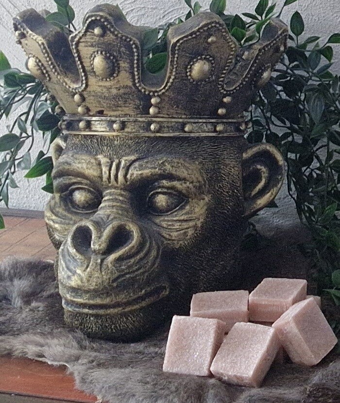 Amberblokjes Celvin Klein One