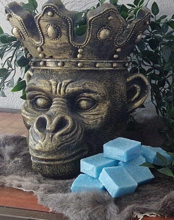 Amberblokje Dolce en Gabbana Light Bleu