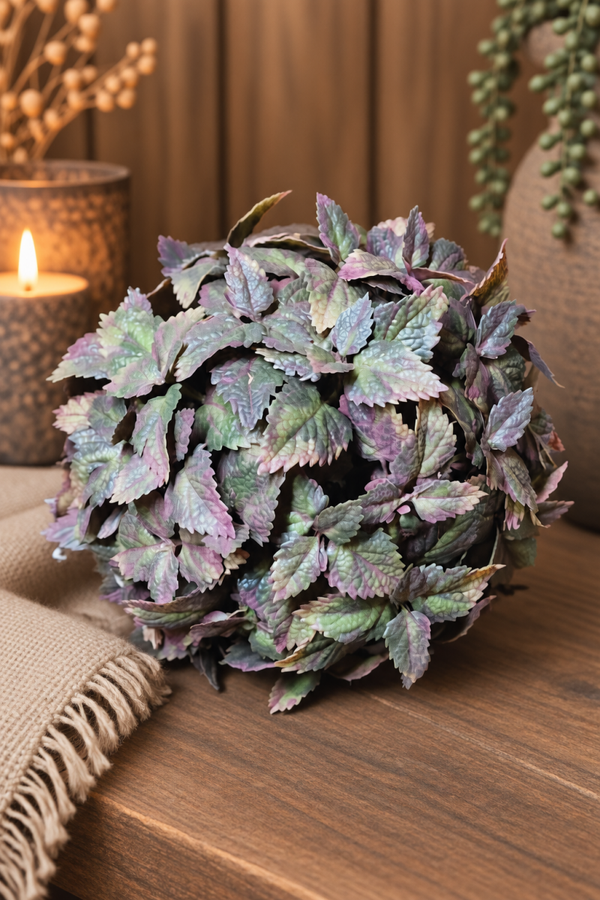 Countryfield Kunstbol Plectranthus