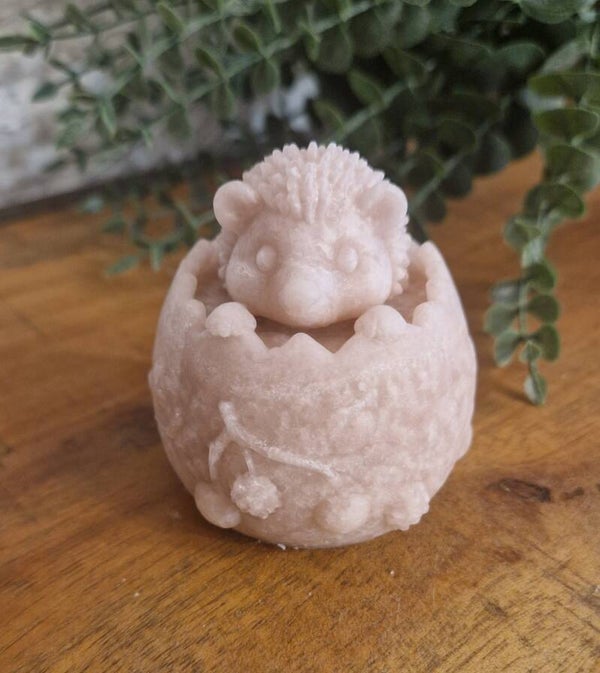 Egel in Ei