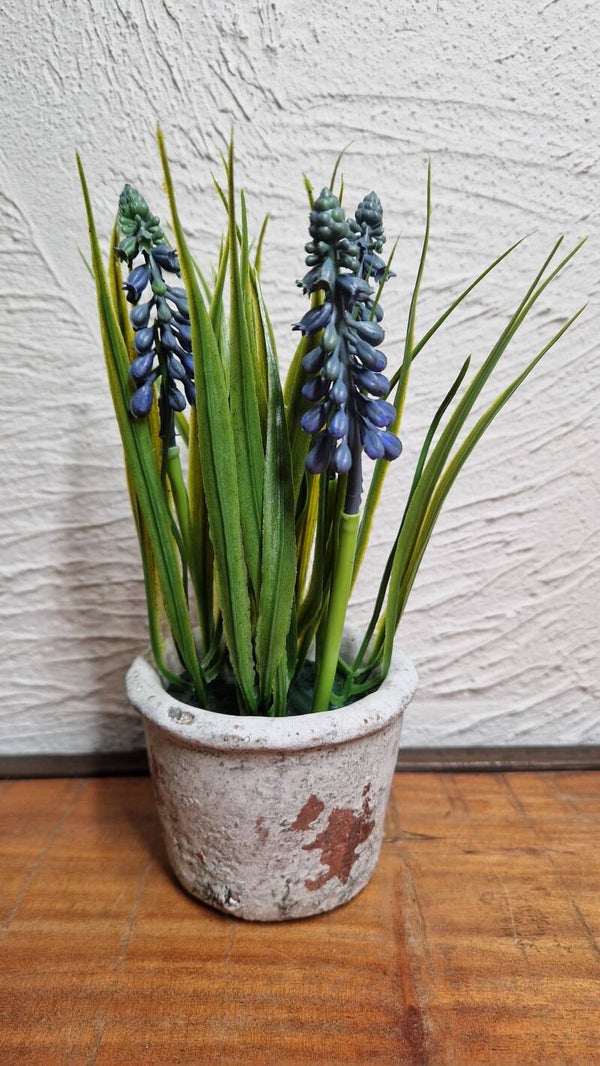 Kunst Blauwe Druifjes in pot