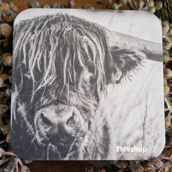 Schotse Hooglander TMV01