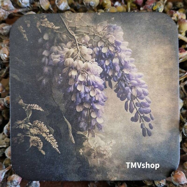 Blauwe Regen TMV121