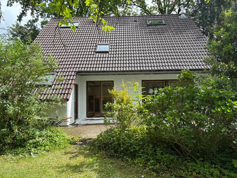 Dakpannen coaten Brasschaat