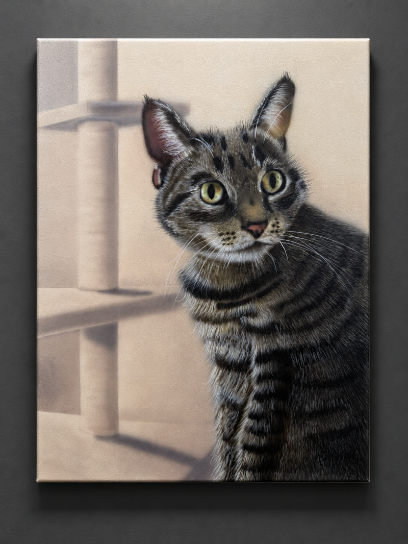 Limited Collection | „Katze Fee“ 30x40cm | UNVERKÄUFLICH 