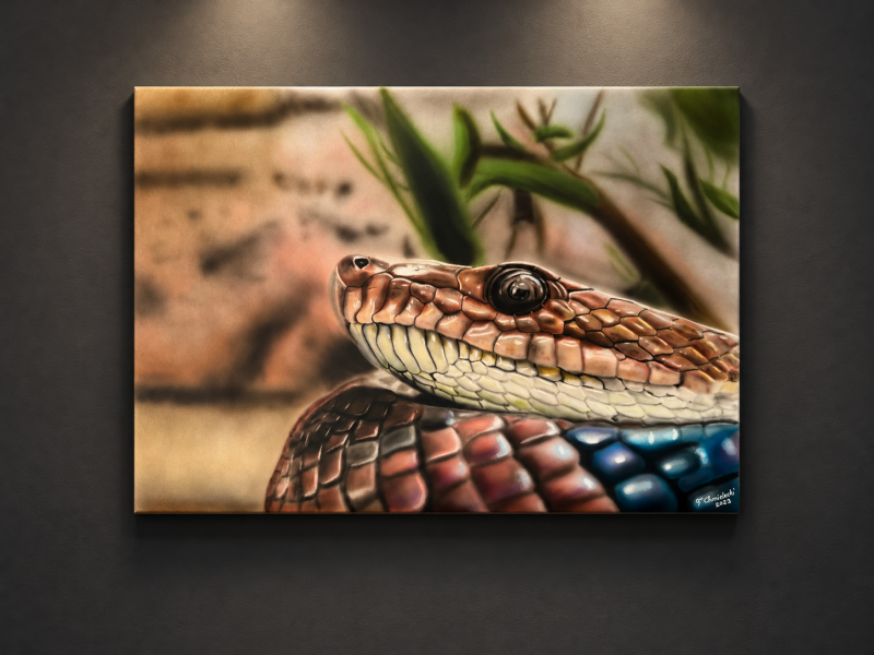 Limited Collection | „Schlange im Terrarium“ 30x40cm | 400,00€