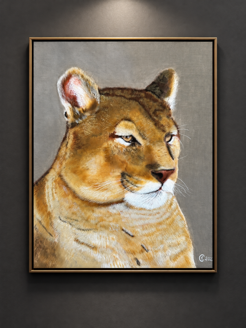 Limited Collection | „Puma-Weibchen“ 40x60cm | 400,00€