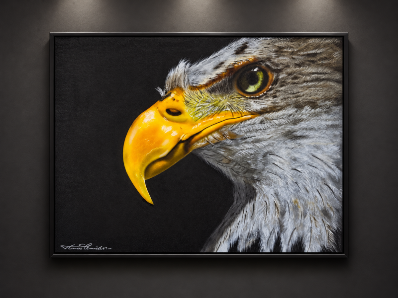 Limited Collection | „Eagle“ 30x40cm 500,00€