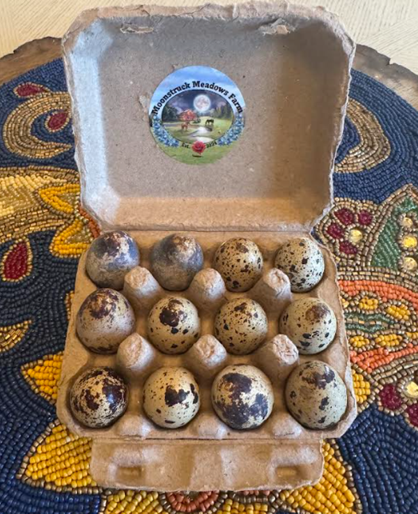 Quail hatching eggs
