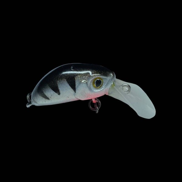 KG Nano-SS #Perch/UV Point