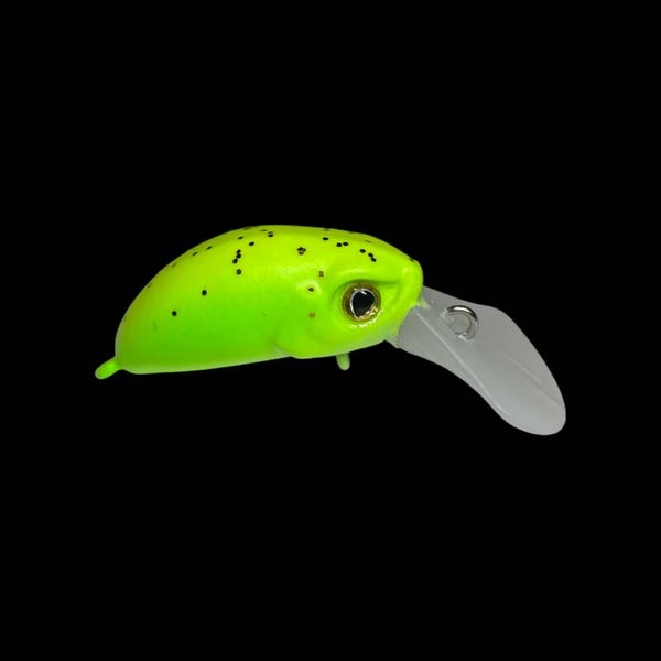 KG Nano-SS #Matt Melone Glow