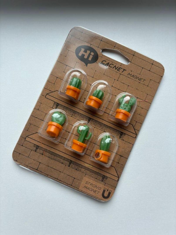 Mini cacti magnets