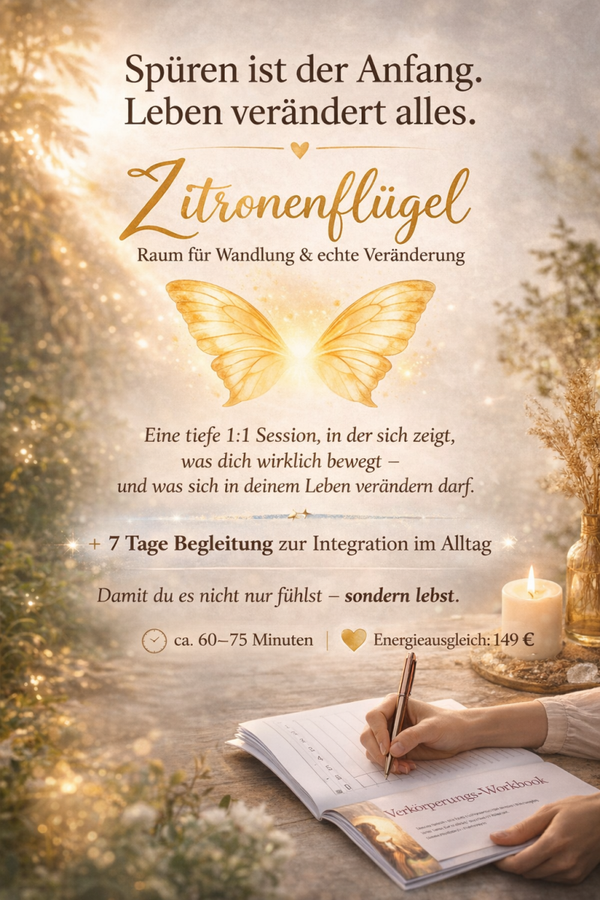 Zitronenflügel 1x1 60 Minuten