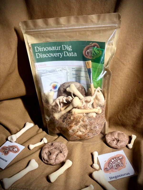 Exploring Dinosaurs Discovery Kit