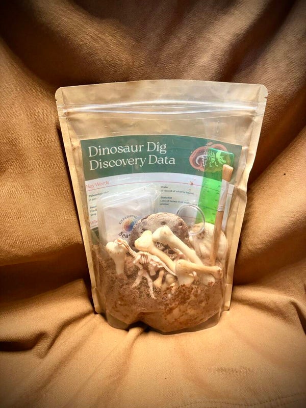 Teachers Set Exploring Dinosaurs
