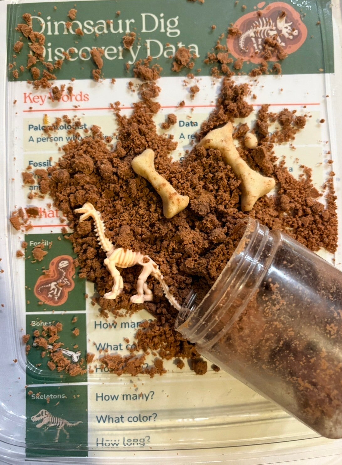 10 pack of Dinosaur Jars