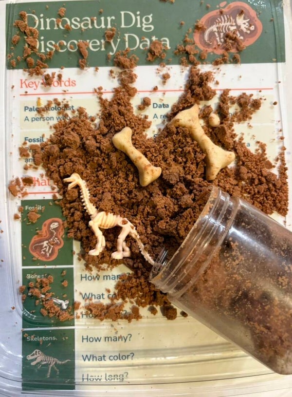 10 pack of Dinosaur Jars