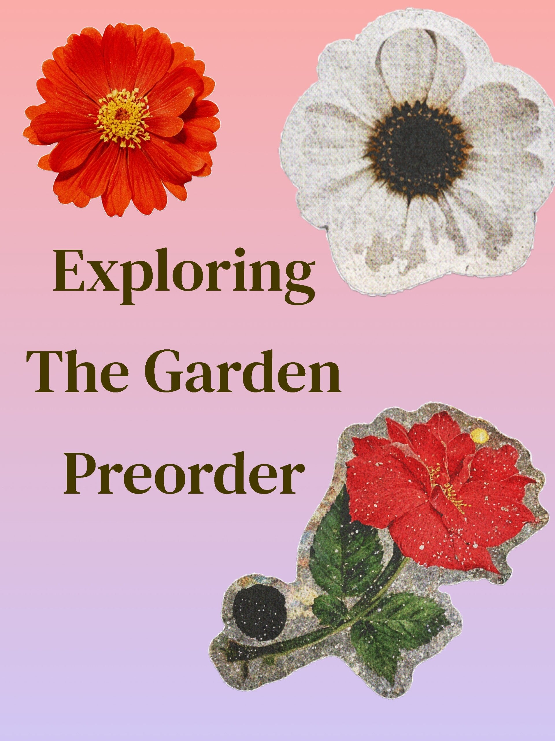 Exploring the Garden
