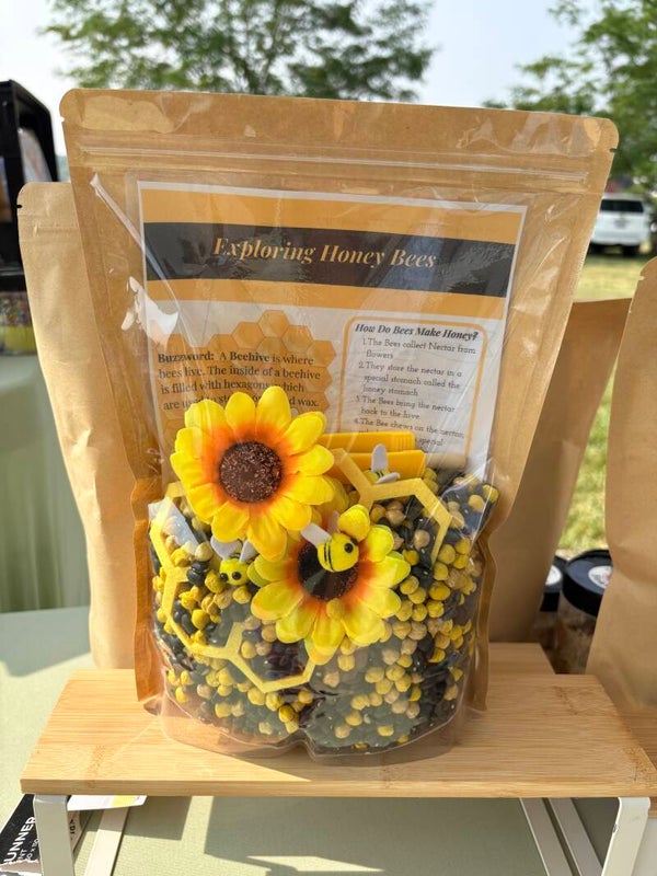 Exploring Honey Bees