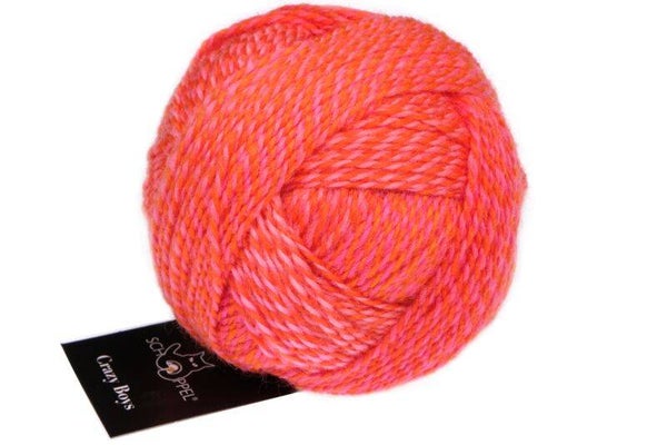Schoppel Stärke 6 Brüder 2705 Gerhard