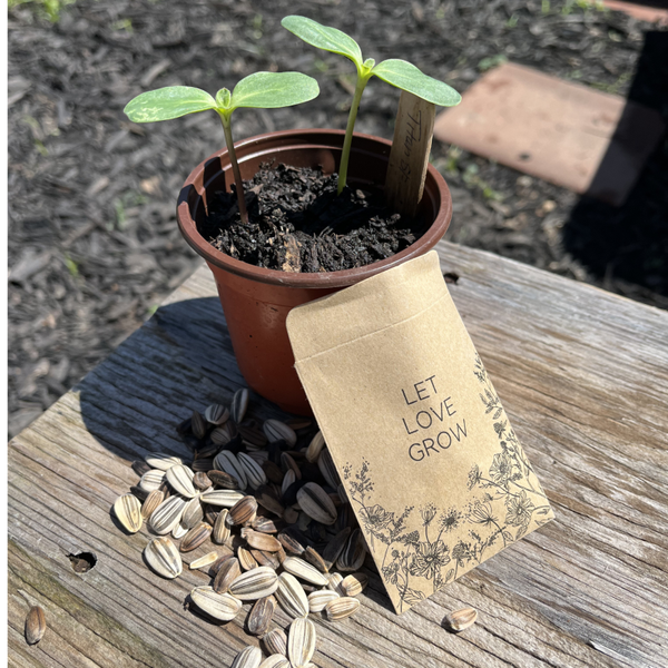 As The Garden Turns-STL Assorted Sunflower Seeds  30 Mixed Seeds