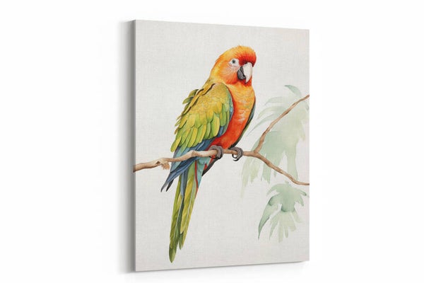 Exotische kleuren
