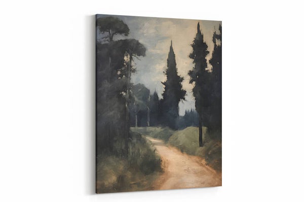 Landelijk pad tussen hoge bomen