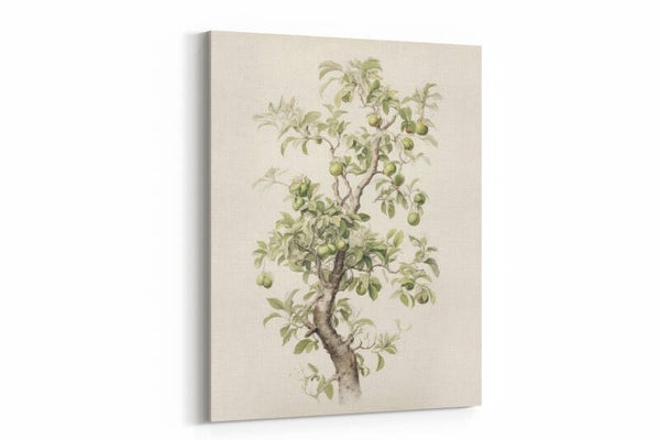 Fijne pentekening van een bloeiende boom