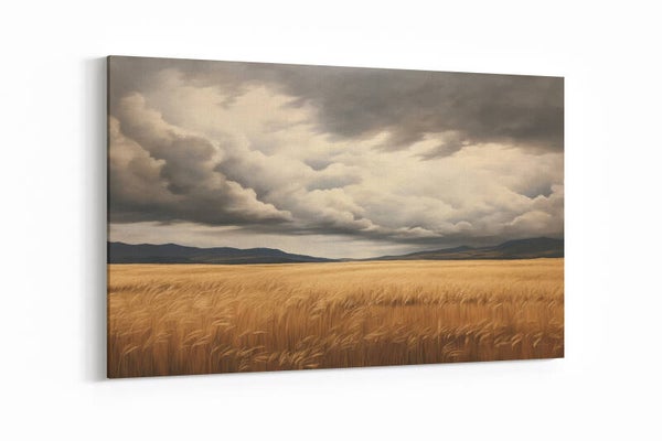 Donkere stormlucht boven een uitgestrekte vlakte