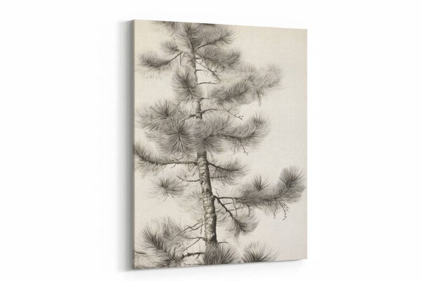 Japanse pentekening van een dennenboom