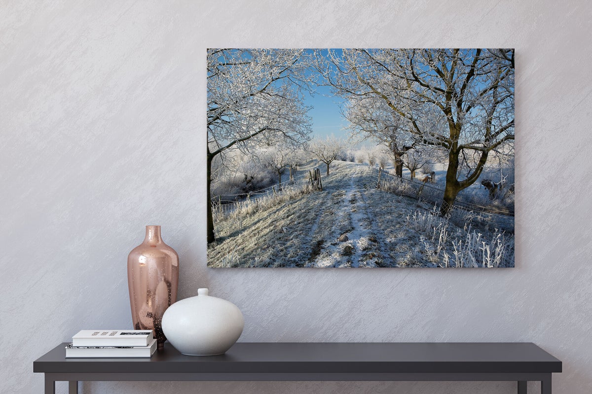 Schilderij weiland in de winter