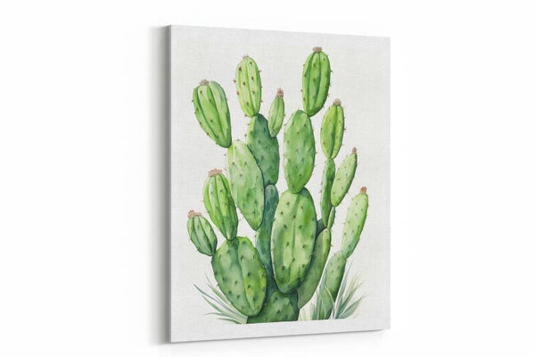 Woestijncactus