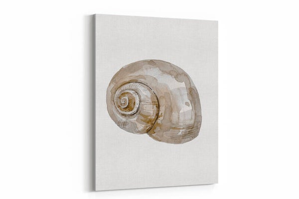 De spiraal van de natuur