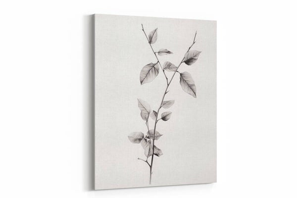 Minimalistische botanische tekening