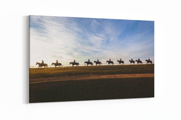 Race paarden , ochtend training